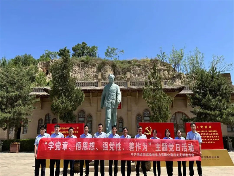 榆神電力公司開展“學(xué)黨章、悟思想、強(qiáng)黨性、善作為”主題黨日活動(dòng).jpg